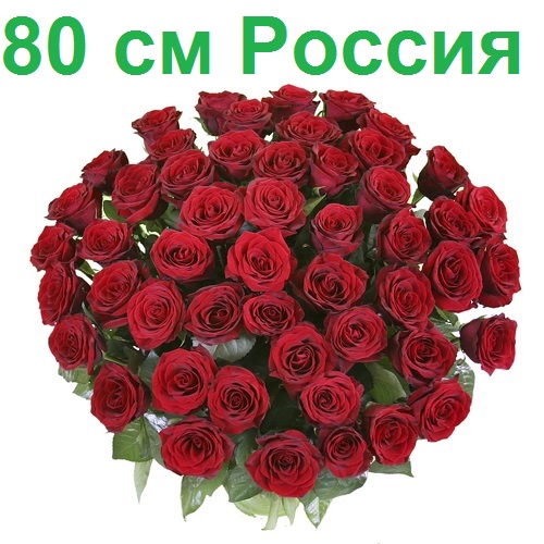 Опт СПб: 51 роза 80 см (РФ)