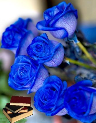 Синие розы в литературе