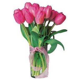 15 розовых тюльпанов