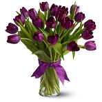 21 фиолетовый тюльпан в вазе