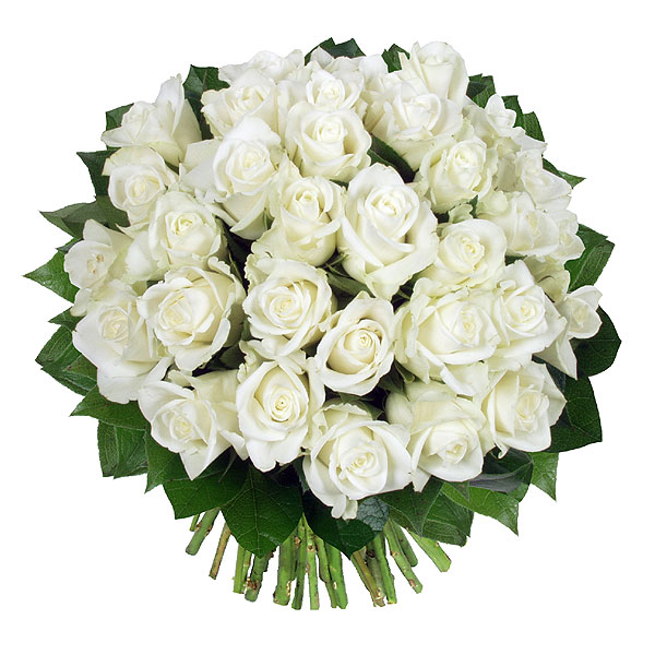 33 белых розы