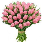 49 розовых тюльпанов