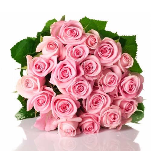 19 нежно-розовых роз