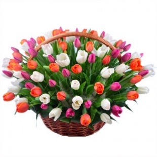 Корзина из 85 разноцветных тюльпанов