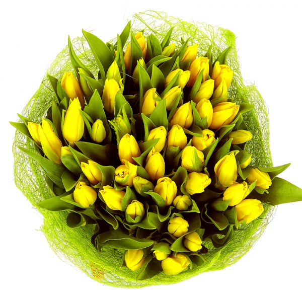 49 желтых тюльпанов в гнезде
